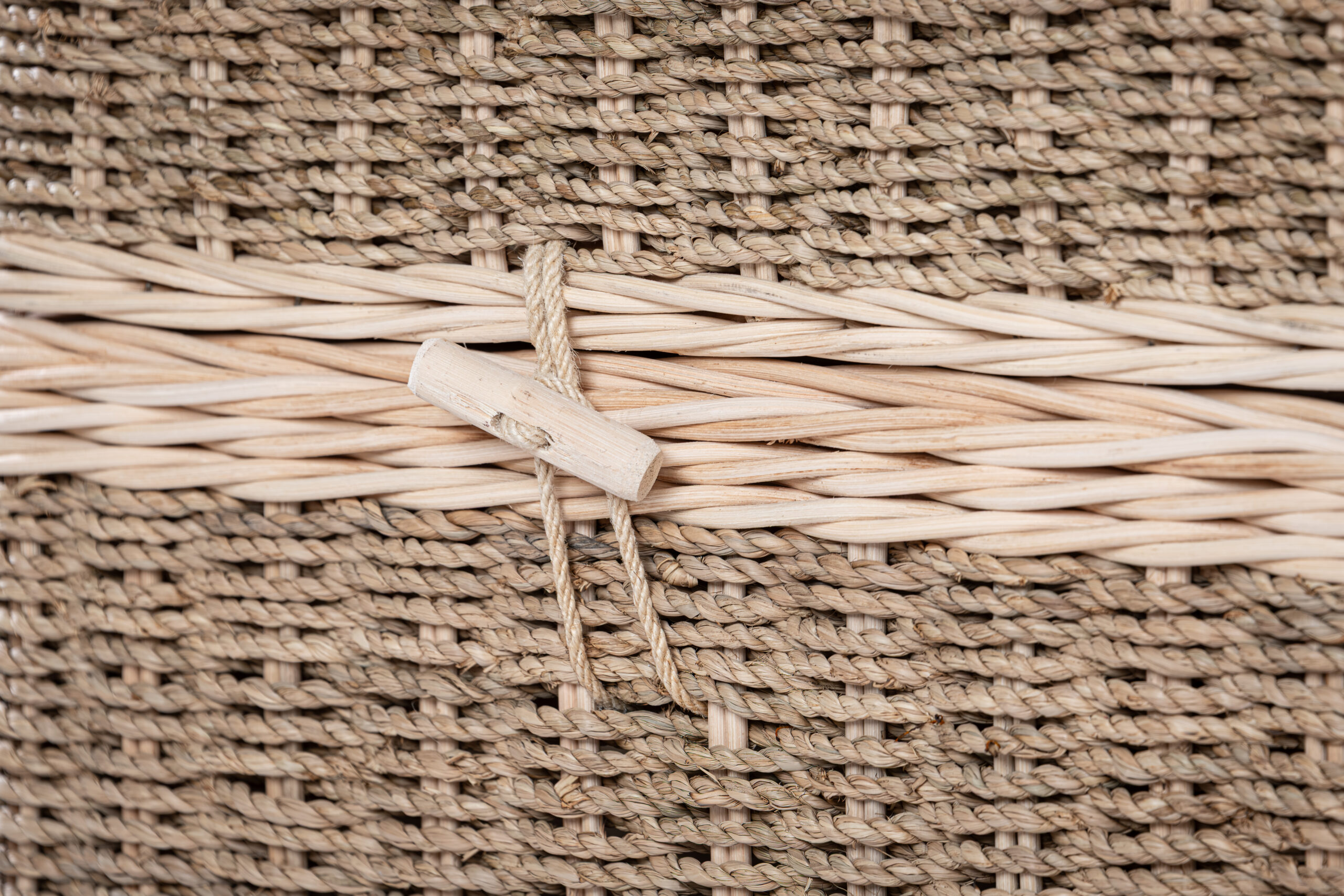 Fibra di Palma – Bild 2
